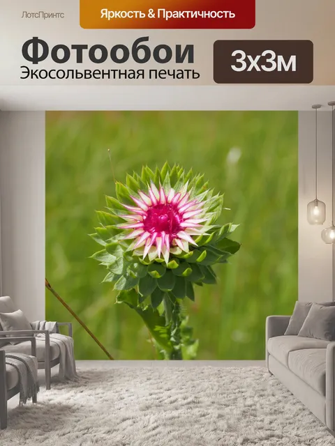 Фотообои Цветы