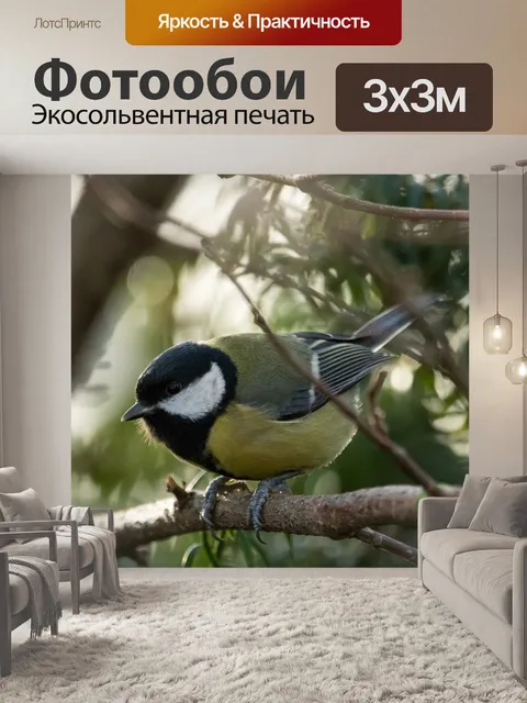 Фотообои Сад