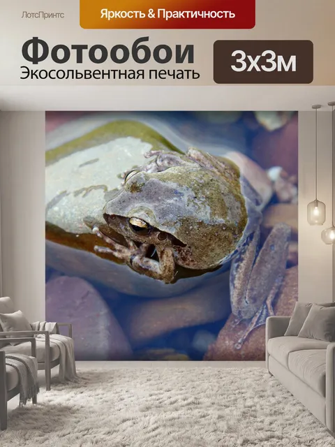 Фотообои Природа
