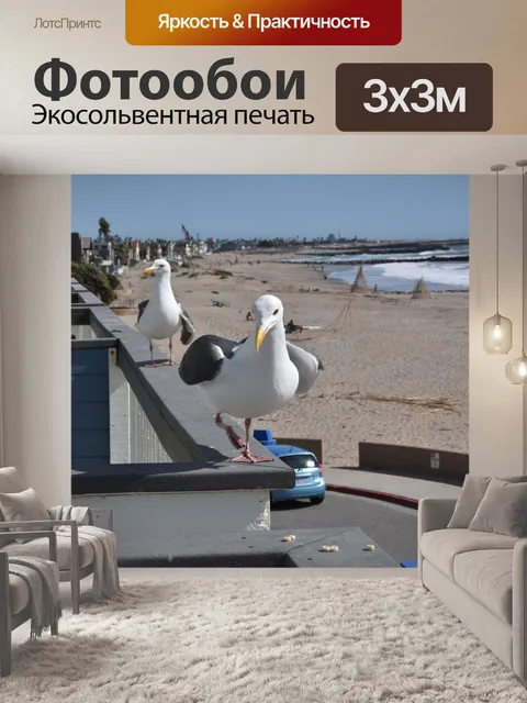Фотообои Seagulls