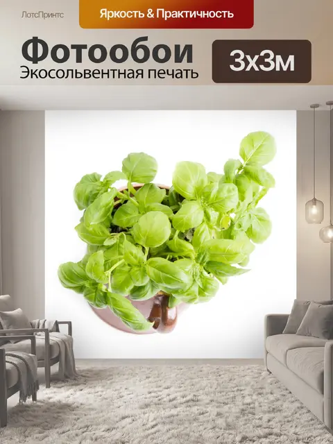 Фотообои Бэзил