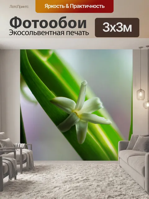 Фотообои Цветок