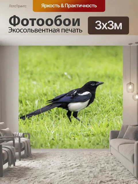 Фотообои Трава