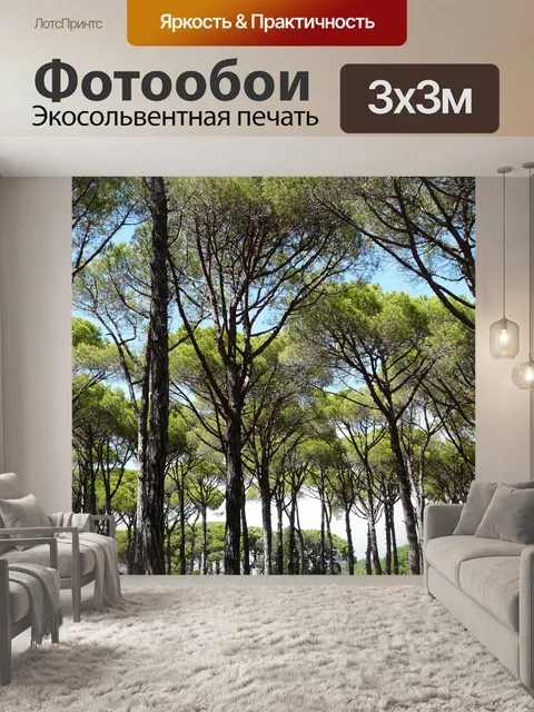Фотообои Сосны