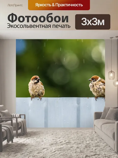 Фотообои Птицы