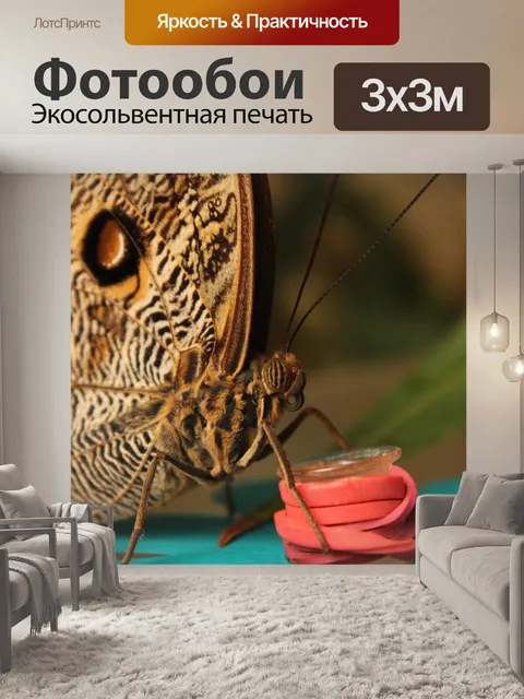 Фотообои Бабочка