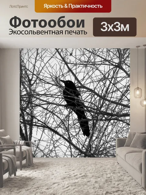 Фотообои Птица