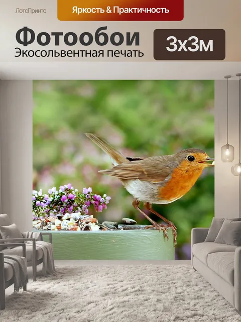 Фотообои Птица
