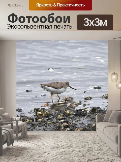 Фотообои Птица