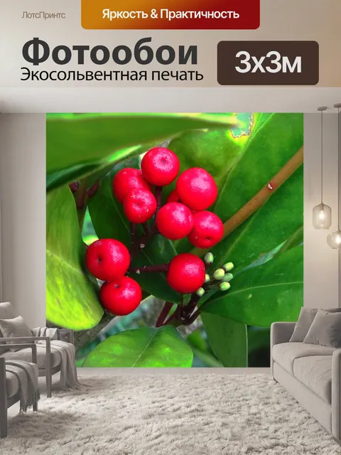 Фотообои Красные ягоды