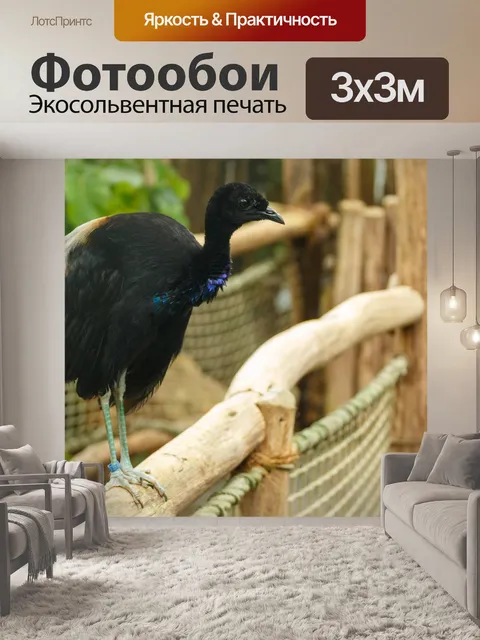 Фотообои Серый крылатый трубач