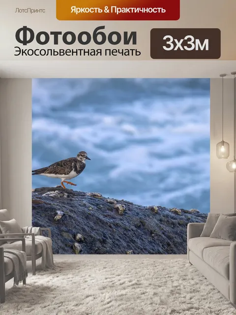 Фотообои Птица