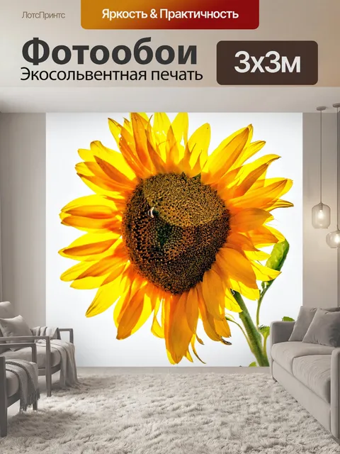 Фотообои Медовая пчела на подсолнечника