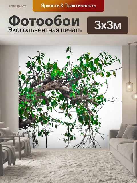 Фотообои Природа