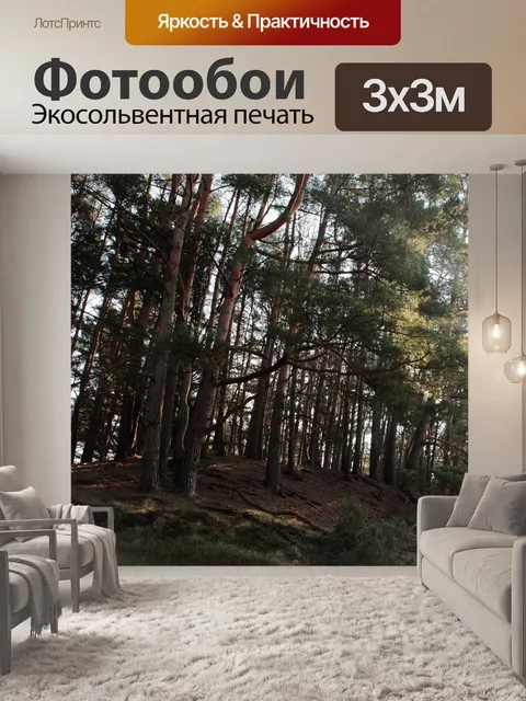 Фотообои Фон