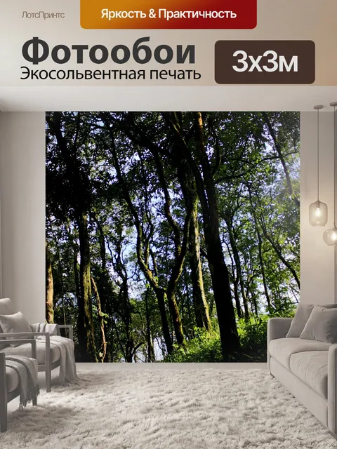 Фотообои Природа горы Фу Руа