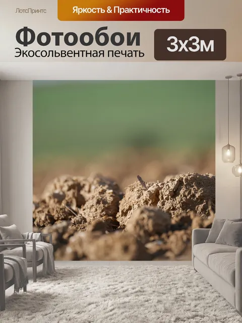 Фотообои Поля