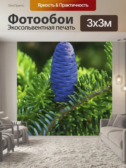 Фотообои Ель