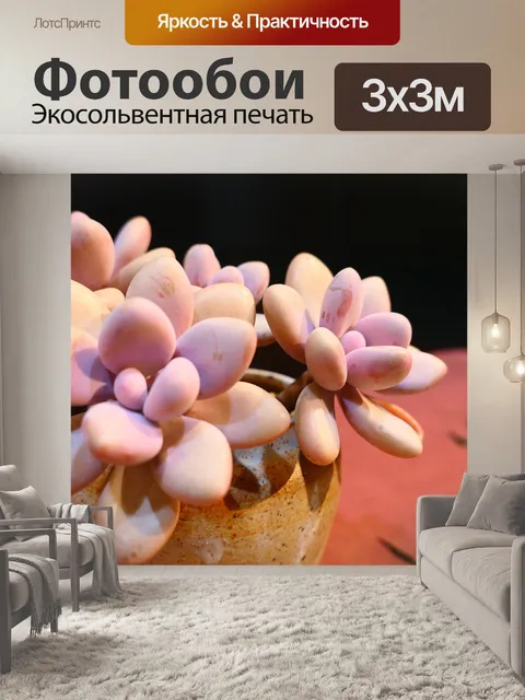 Фотообои Фон