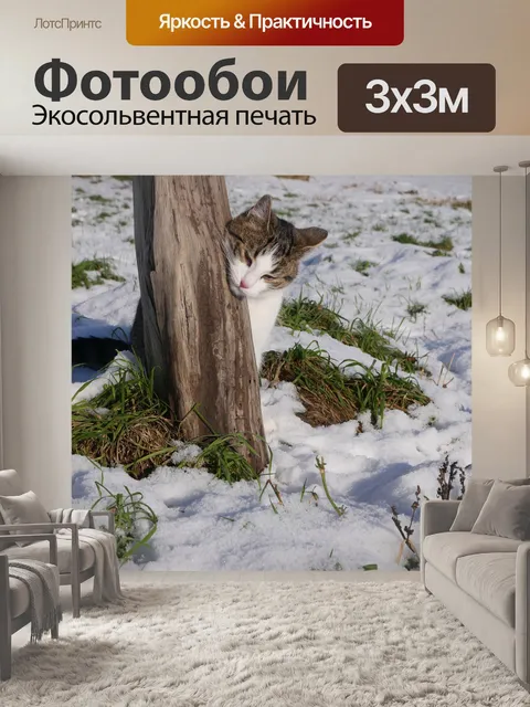 Фотообои Кошка