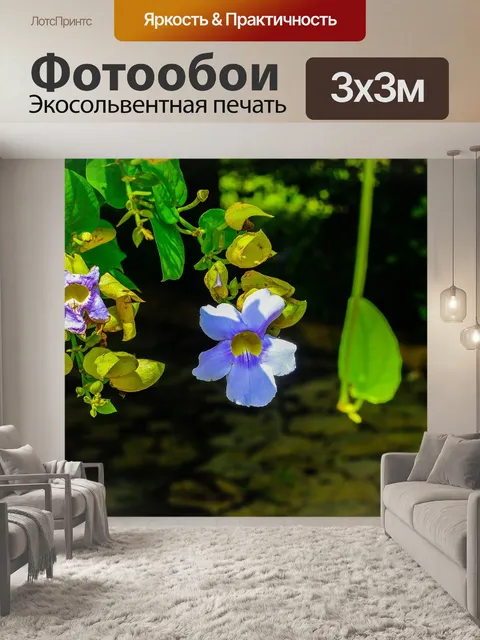 Фотообои Цветок