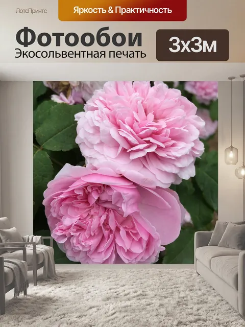 Фотообои Пионы