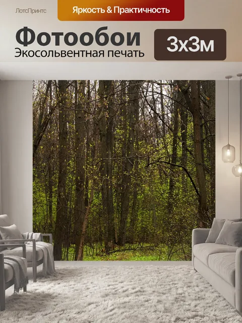 Фотообои Лес