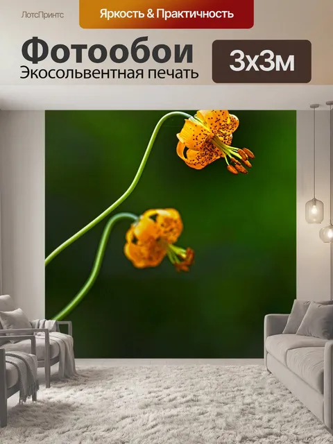 Фотообои Лили