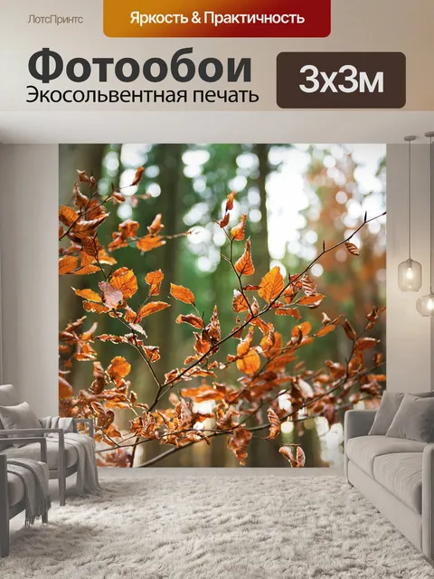 Фотообои Лес