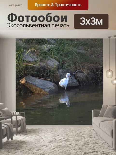 Фотообои Белый журавль