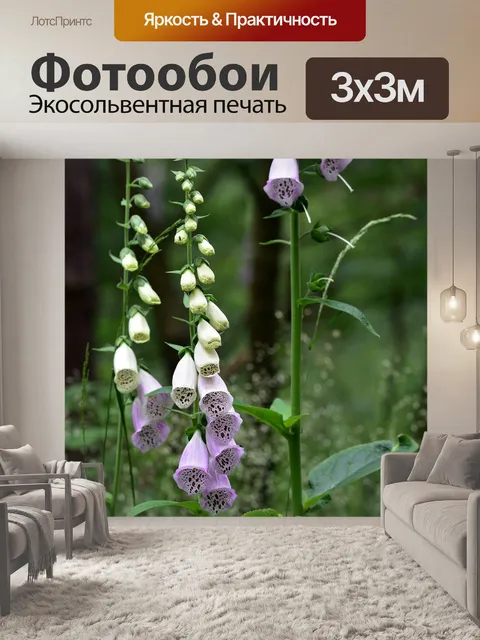 Фотообои Цветы
