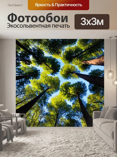 Фотообои лес с городскими грядами, достигающими по сторонам деревьев