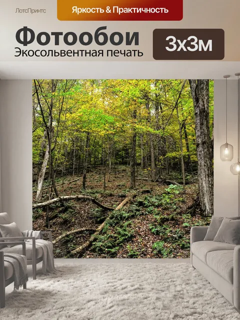 Фотообои Лес