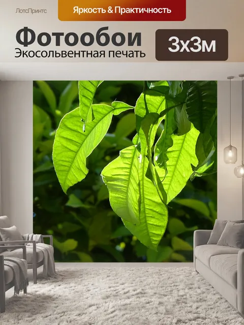 Фотообои Листья