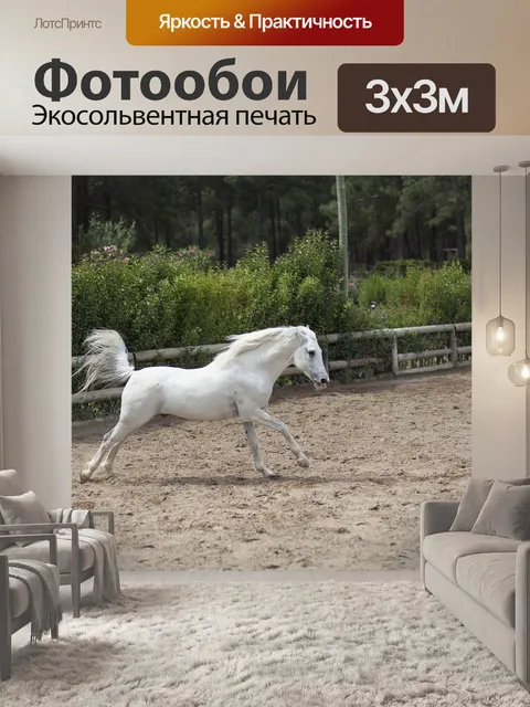 Фотообои Лошадь