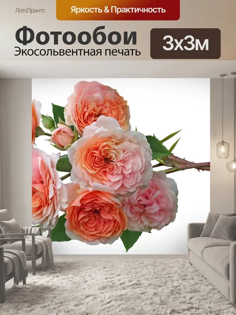 Фотообои Розы