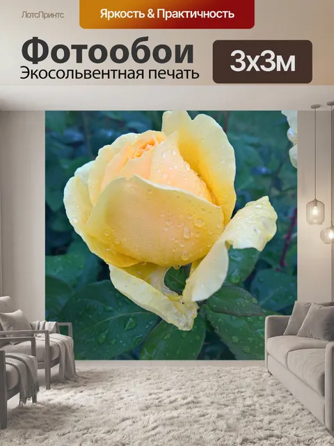 Фотообои Розы