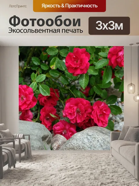Фотообои Розы