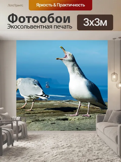 Фотообои Чайка