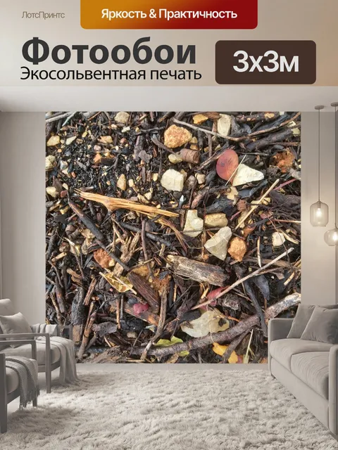 Фотообои Текстуры лесного пола
