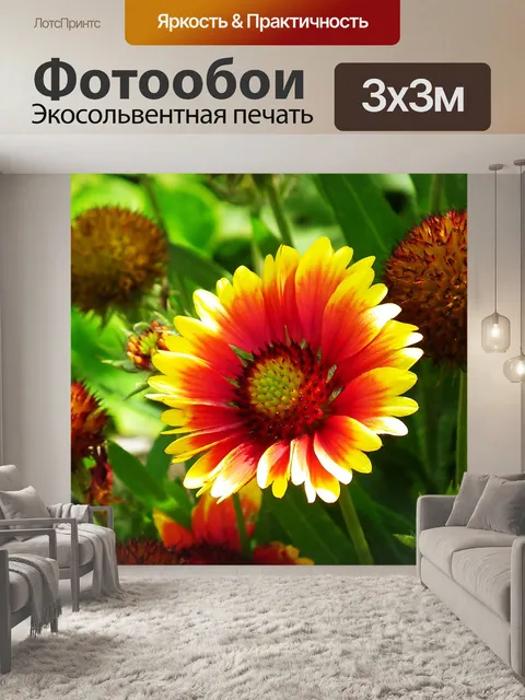 Фотообои Цветы