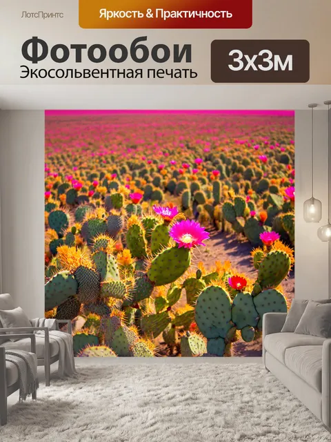 Фотообои япония: поля опунции, цветущие в ярких розовых и оранжевых оттенках