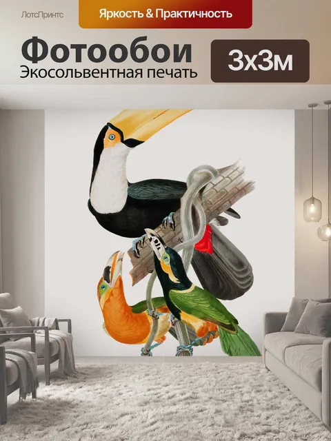 Фотообои Тукан старинные художественные иллюстрац