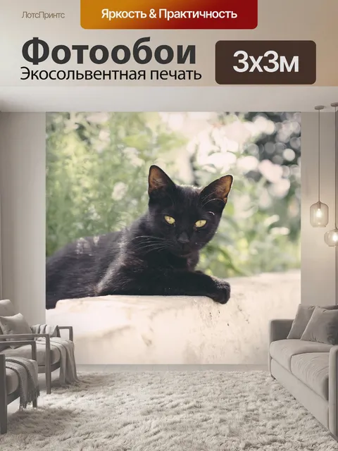 Фотообои Кошка