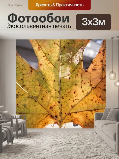 Фотообои Мы