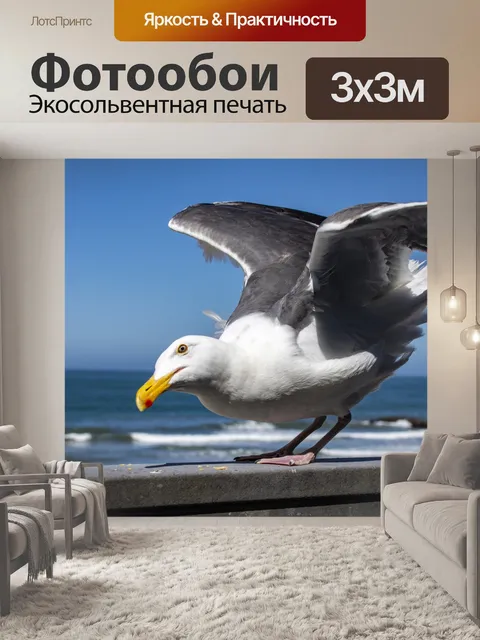Фотообои чайка