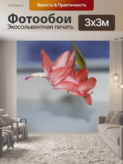 Фотообои Комнатный цветок