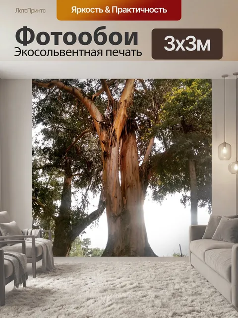 Фотообои Деревья