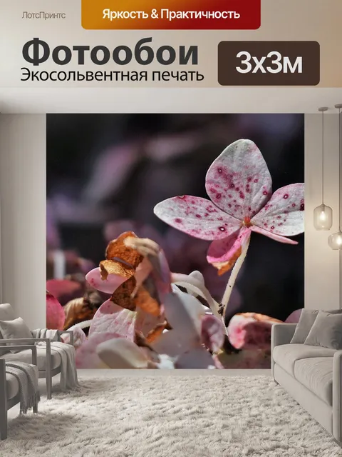 Фотообои Цветы