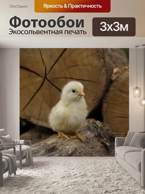 Фотообои Деревня